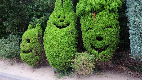 イングランドの丘