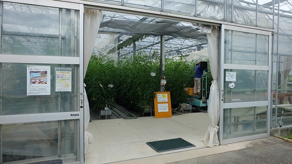 イングランドの丘　温室　ビニールハウス