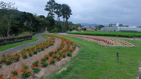 イングランドの丘