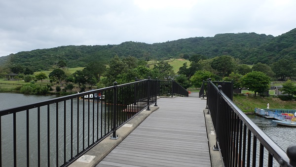 イングランドの丘