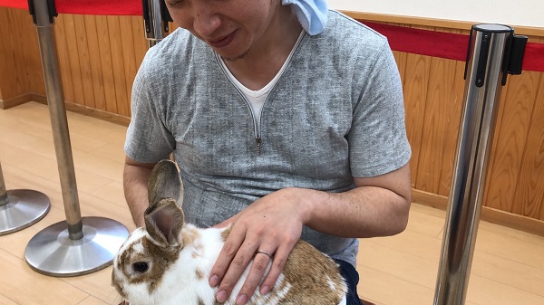 イングランドの丘　うさぎ　ラビットワーレン