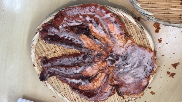 【淡路島】道の駅東浦ターミナルパーク　たこ姿焼き