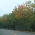 紅葉ドライブデート、高野龍神スカイライン【和歌山県】