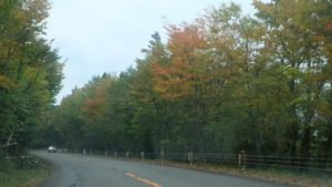 紅葉ドライブデート、高野龍神スカイライン【和歌山県】