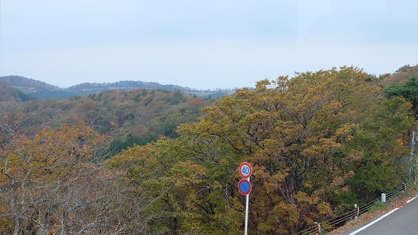 【和歌山県】道の駅田辺市龍神ごまさんスカイタワー