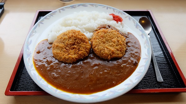 【和歌山県】道の駅田辺市龍神ごまさんスカイタワー ジビエカレー