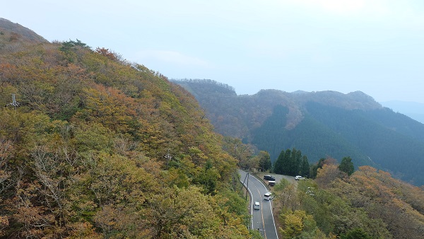 【和歌山県】道の駅田辺市龍神ごまさんスカイタワー