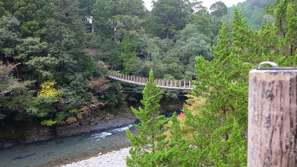 【和歌山県】道の駅龍神(ウッディプラザ木族館)　吊り橋