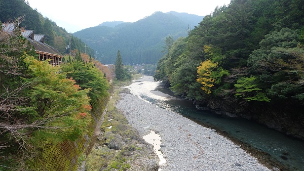 【和歌山県】道の駅龍神(ウッディプラザ木族館)