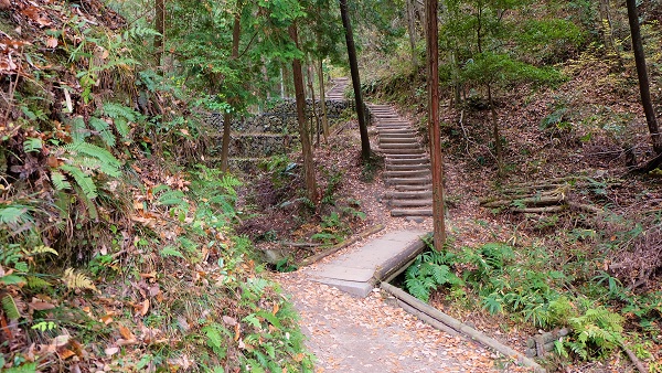 ほしだ園地 ぼうけんの道 歩道