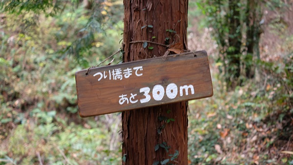 ほしだ園地 看板