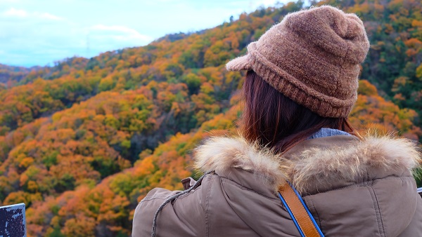ゆきみち ほしだ園地 星のブランコ