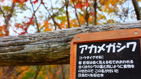 ほしだ園地 看板