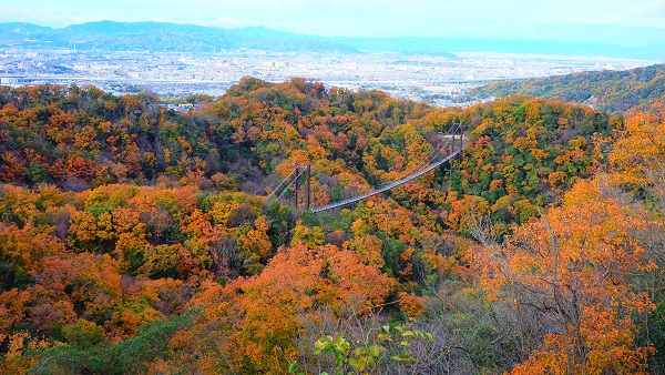 ほしだ園地 展望デッキ