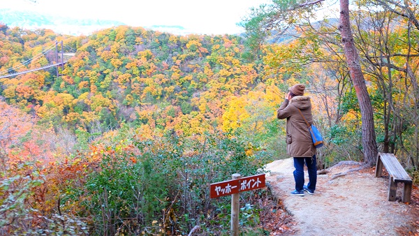 ほしだ園地 ヤッホーポイント 絶景