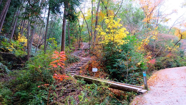 ほしだ園地 看板 木道 歩道