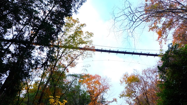 ほしだ園地 星のブランコ