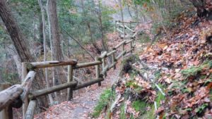 詳細地図でわかりやすい！最寄り駅からほしだ園地までの徒歩ルート