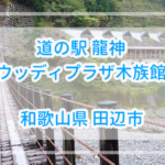 【和歌山県】道の駅龍神(ウッディプラザ木族館)詳細と吊り橋体験