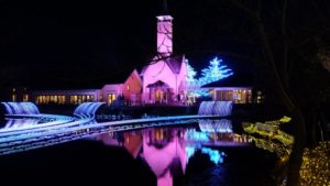 【知ってた？】なばなの里で足湯を満喫⁉イルミネーションも【三重県】