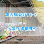ランチビュッフェの予約方法と詳細レビュー、道の駅愛彩ランド【大阪】