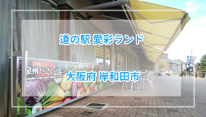 ランチビュッフェの予約方法と詳細レビュー、道の駅愛彩ランド【大阪】